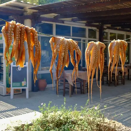 Kore Elafonissi Villa