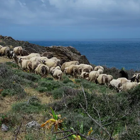 Kore Elafonissi Villa